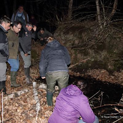 Rien à signaler hormis une bouteille dans la mare